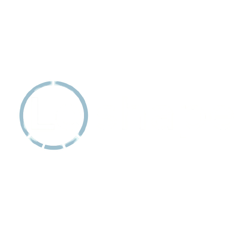 Leshape Consulting - Team Lead